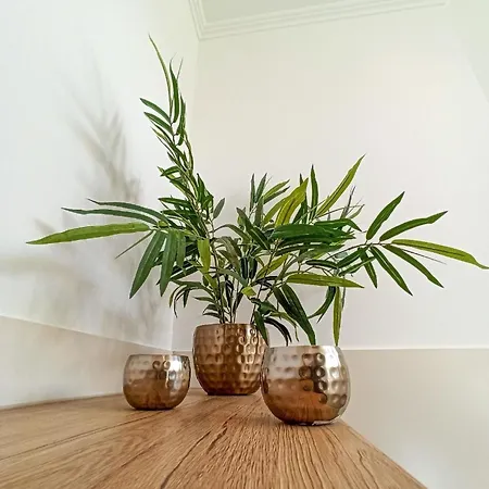 Haus Starkenburg In Apartment *